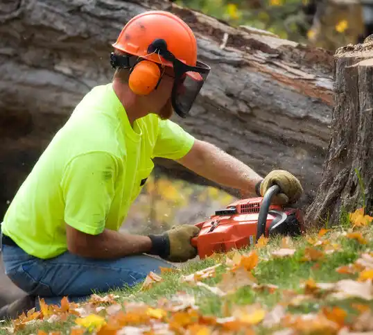 tree services Pennington